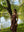 Brown Sienna Halter Maxi Linen Dress