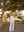 White Bianca Strapless Linen Top