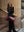 Black Alba Linen Waist Tie Pants