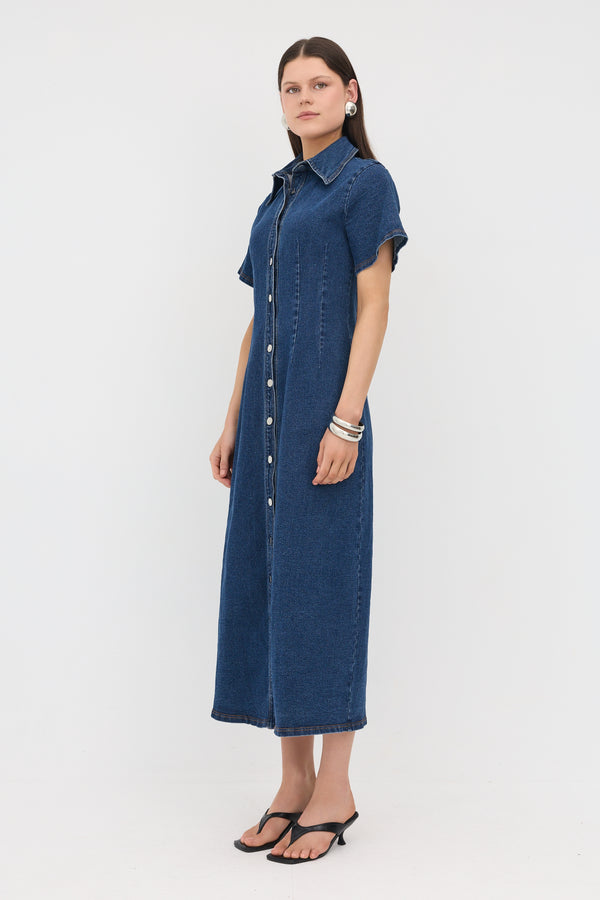 Denim Alyssia Maxi Dress